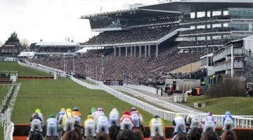 Staking a Claim Post Christmas Tips (Week 10 & 11) – Four More Chelteham Ante-post Bets