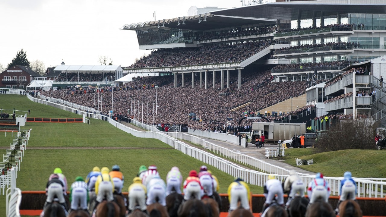 Cheltenham 2024 betting tips