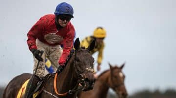 Tom Segal Cheltenham tips