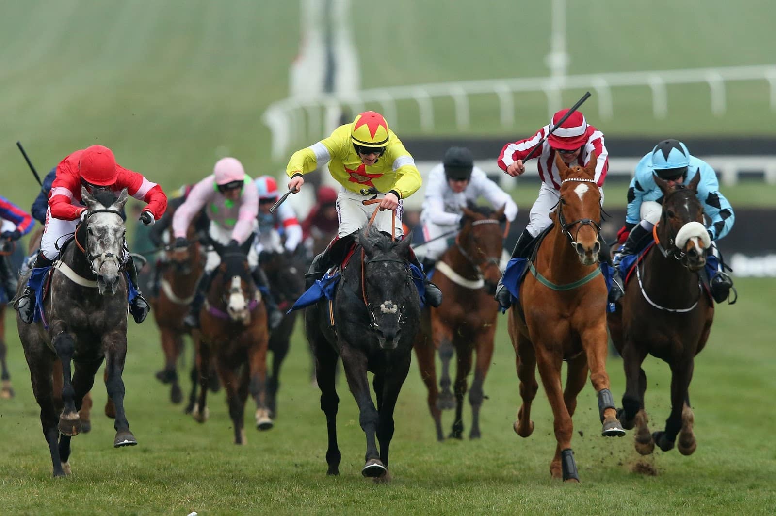 Cheltenham each-way lucky 15 tips