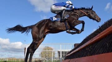 Frodon Cheltenham Festival