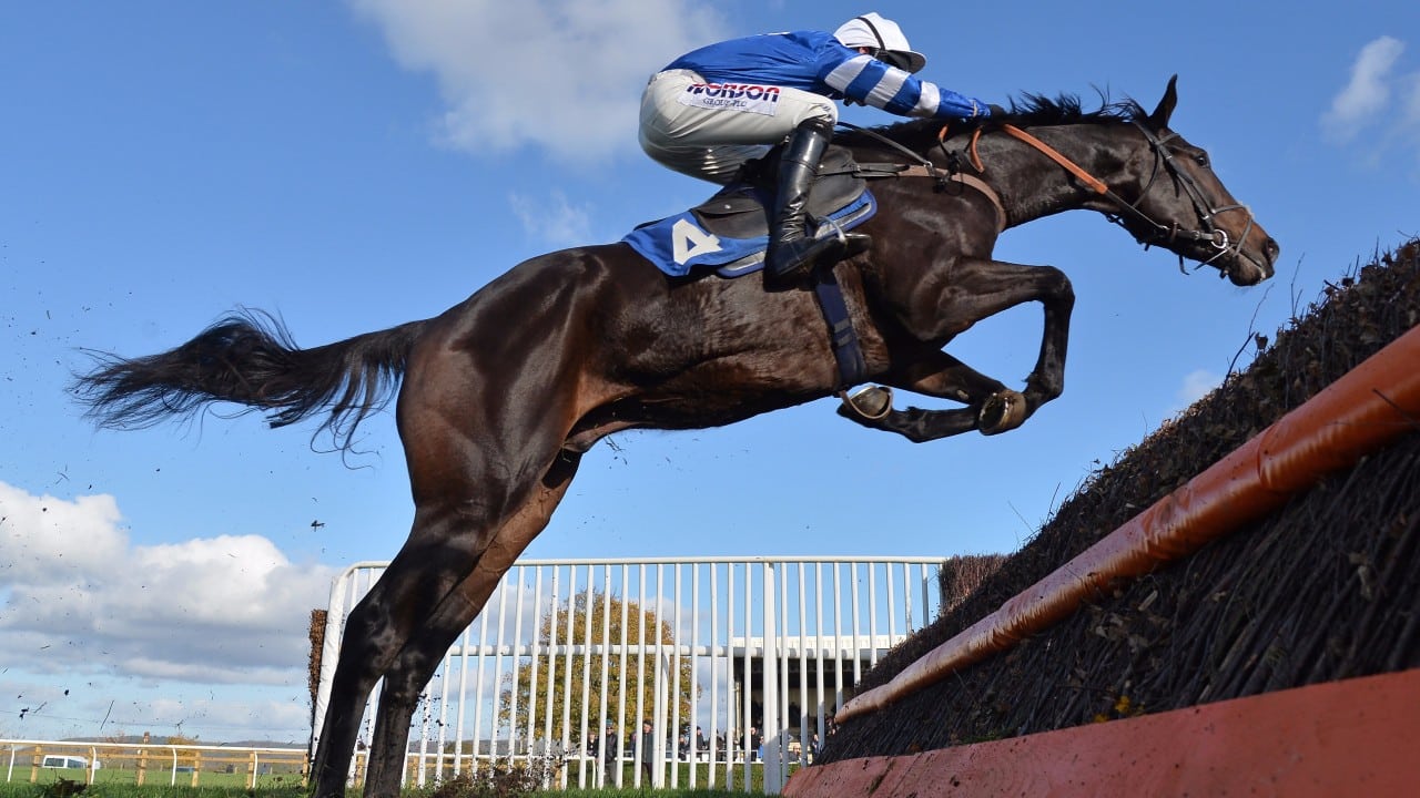 Frodon Cheltenham Festival