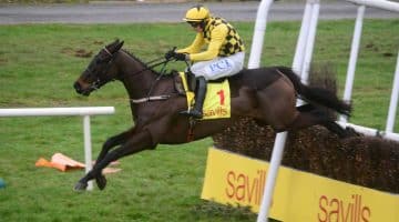 Cheltenham Day 4 lucky 15 tips