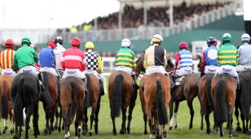 Cheltenham lucky 15 tips