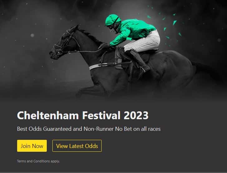 Cheltenham 2023 bet365 offers