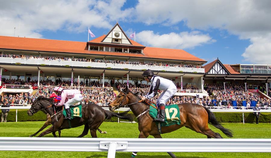 Chester races tips