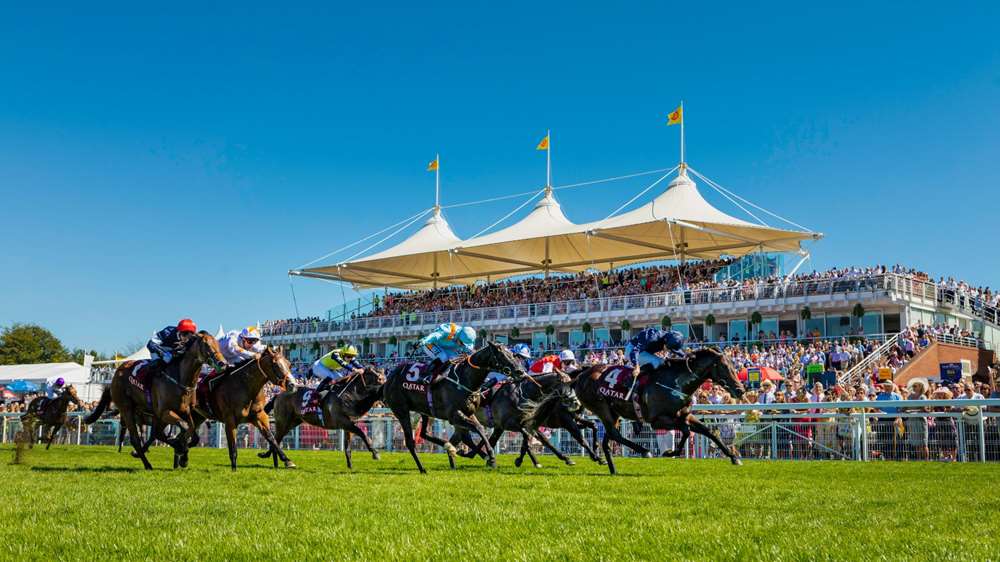 Glorious Goodwood tips 2021