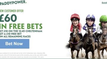Cheltenham free bets