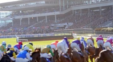 DRF 2024 betting tips