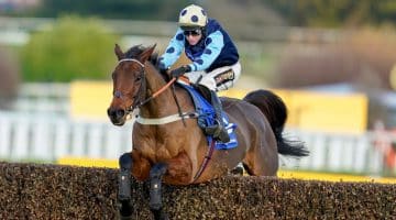 Arkle Novices' Chase tips