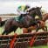 Bet Victor’s Run For Your Money Offer – Cash refund if your horse doesn’t give you a run for your money