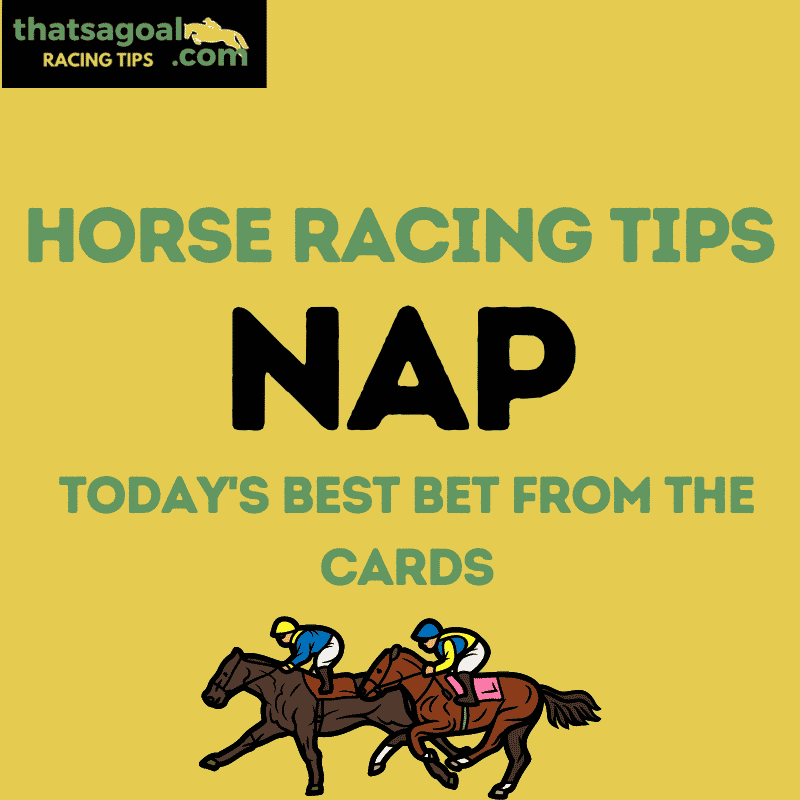 racing betting directory daily naps and heart