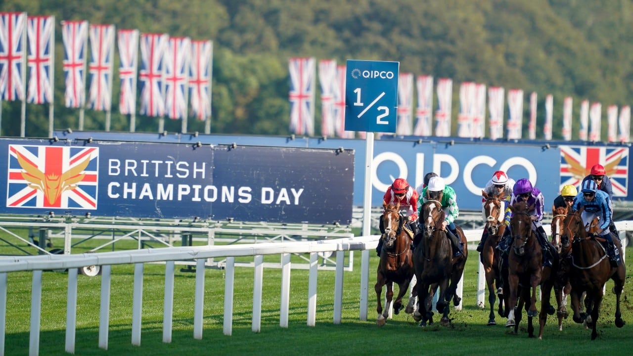 Champions Day tips