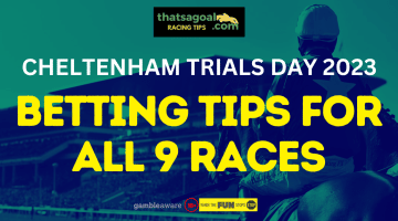 Cheltenham Trials Day tips