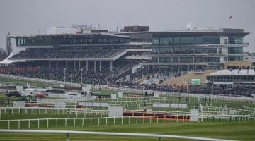 Cheltenham accumulator tips