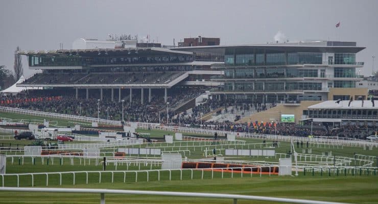 Cheltenham accumulator tips