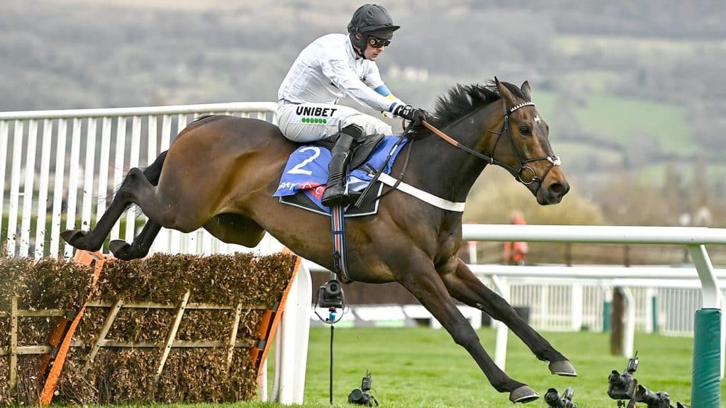 Constitution Hill Champion Hurdle