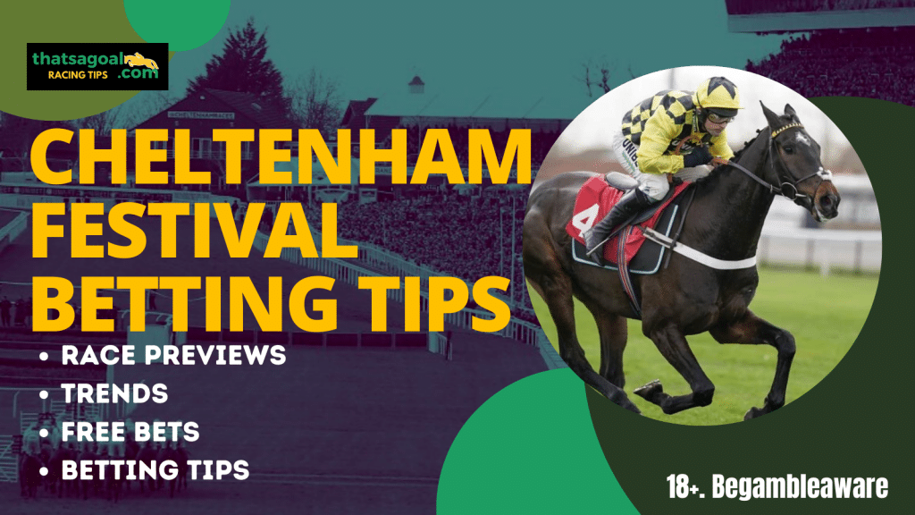 Cheltenham Festival betting tips