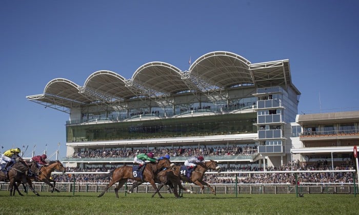 Newmarket races tips