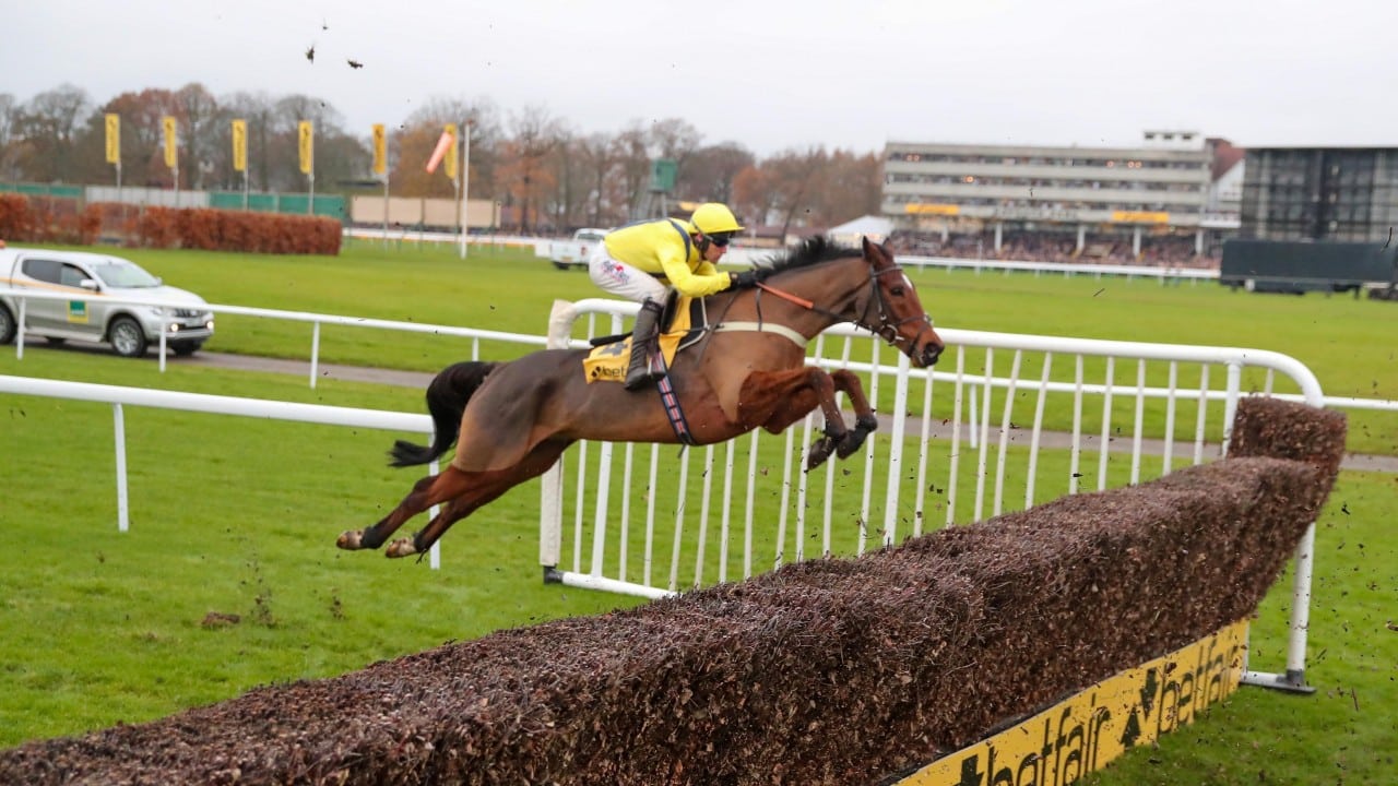 Cheltenham Festival Gold Cup tips