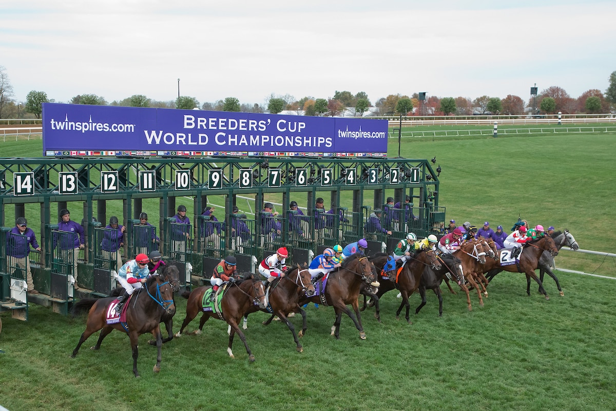 Breeders Cup betting tips 2020