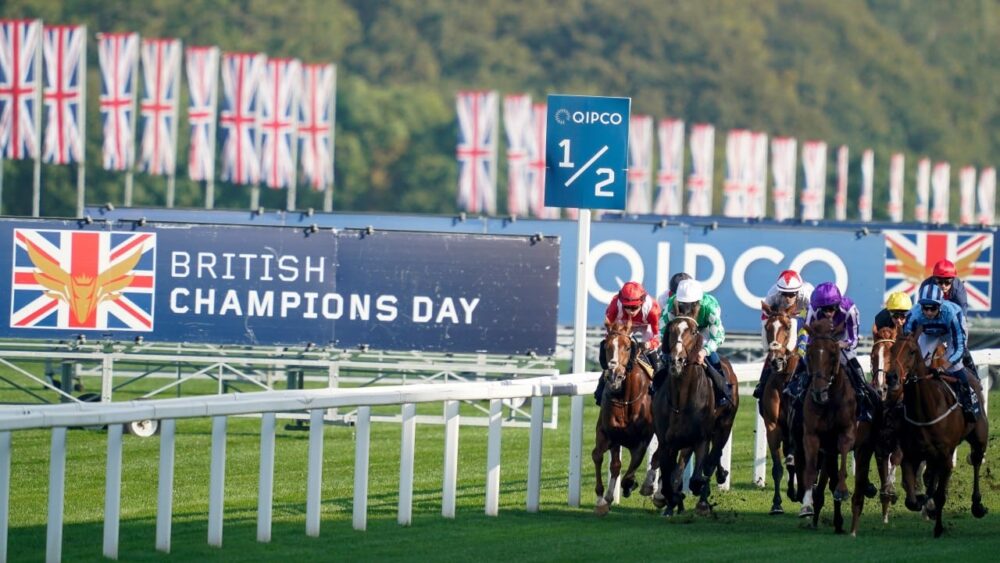 Current image: Champions Day tips