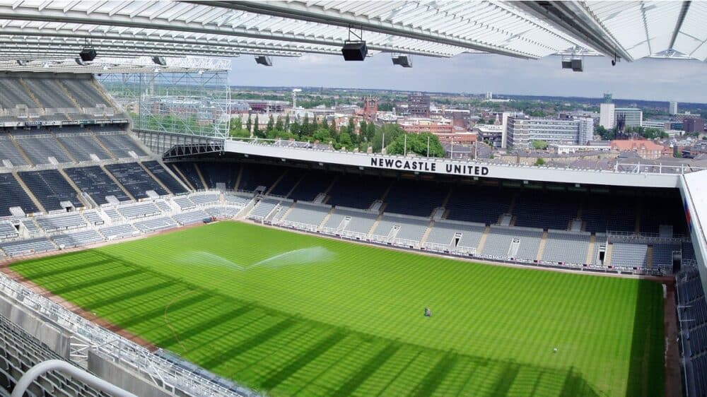 Current image: Newcastle betting tips