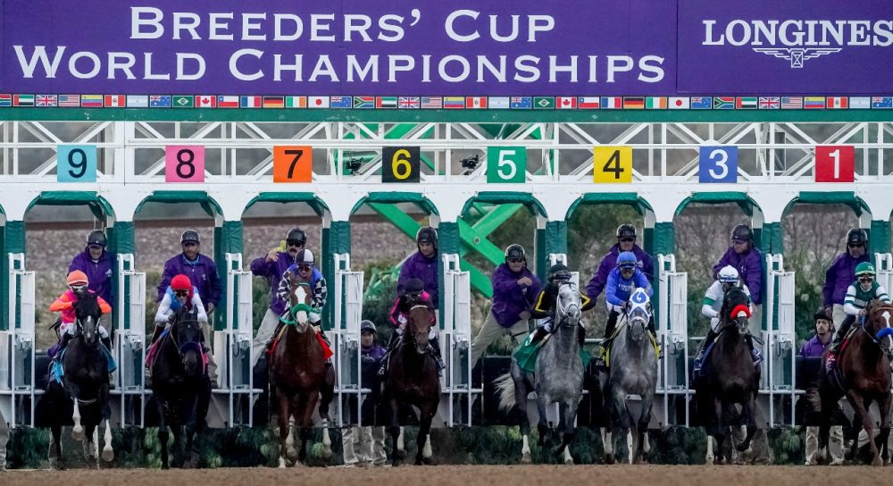 Current image: Breeders Cup 2025 tips