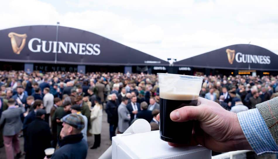 Cheltenham drinks prices 2026