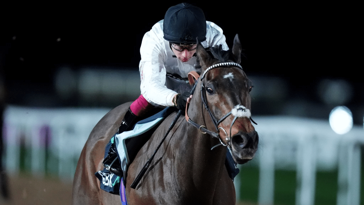 Constitution Hill next race