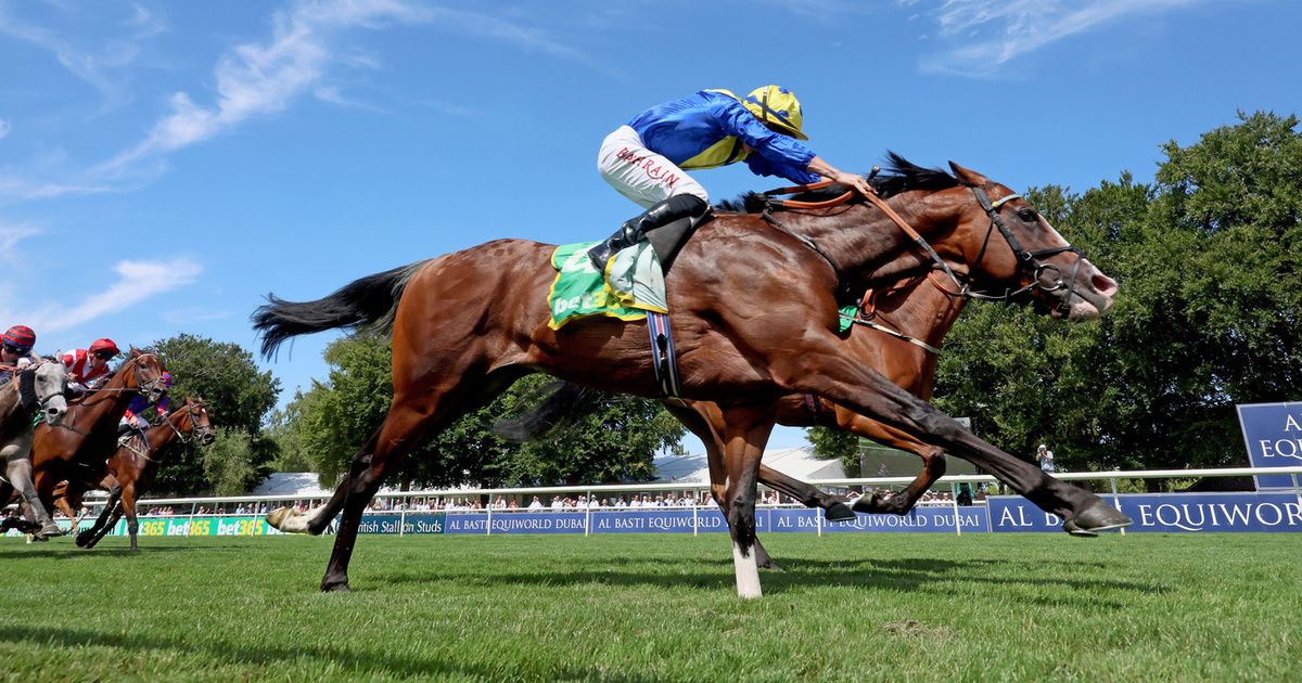 More Thunder - Queen Anne Tips