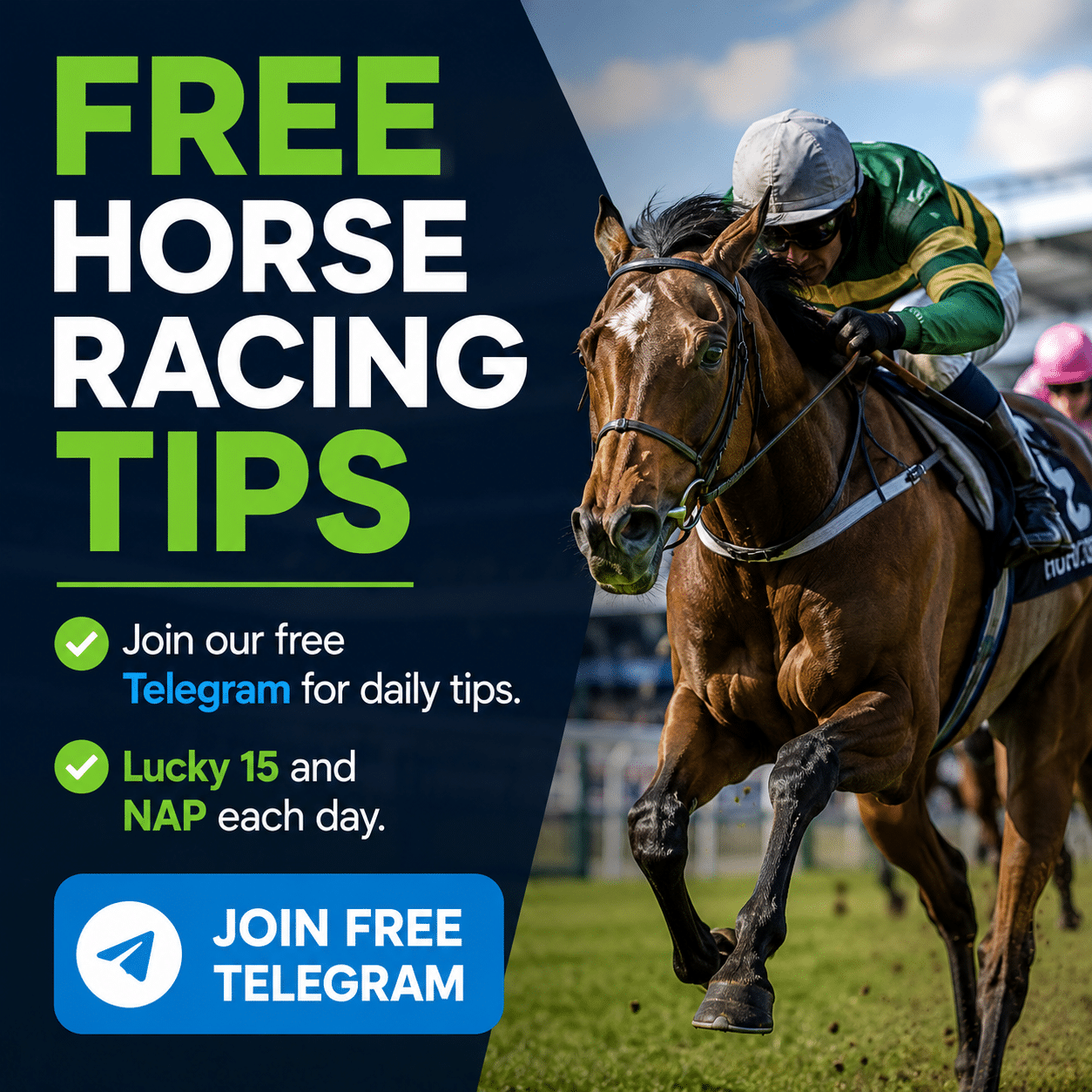 Free Horse Racing Tips — Join Our Telegram Channel